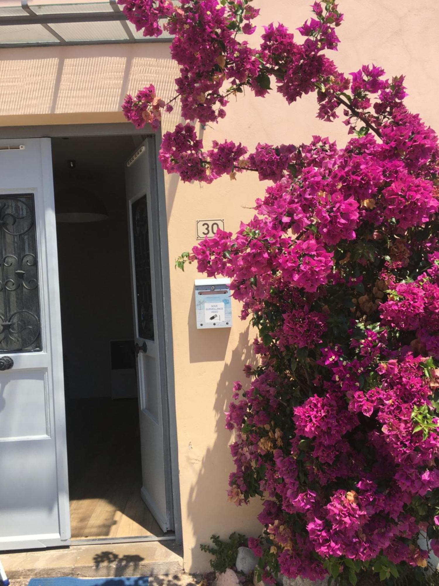 Appartement Central Des Terres Chaudes Proche Bord De Mer Menton Dış mekan fotoğraf
