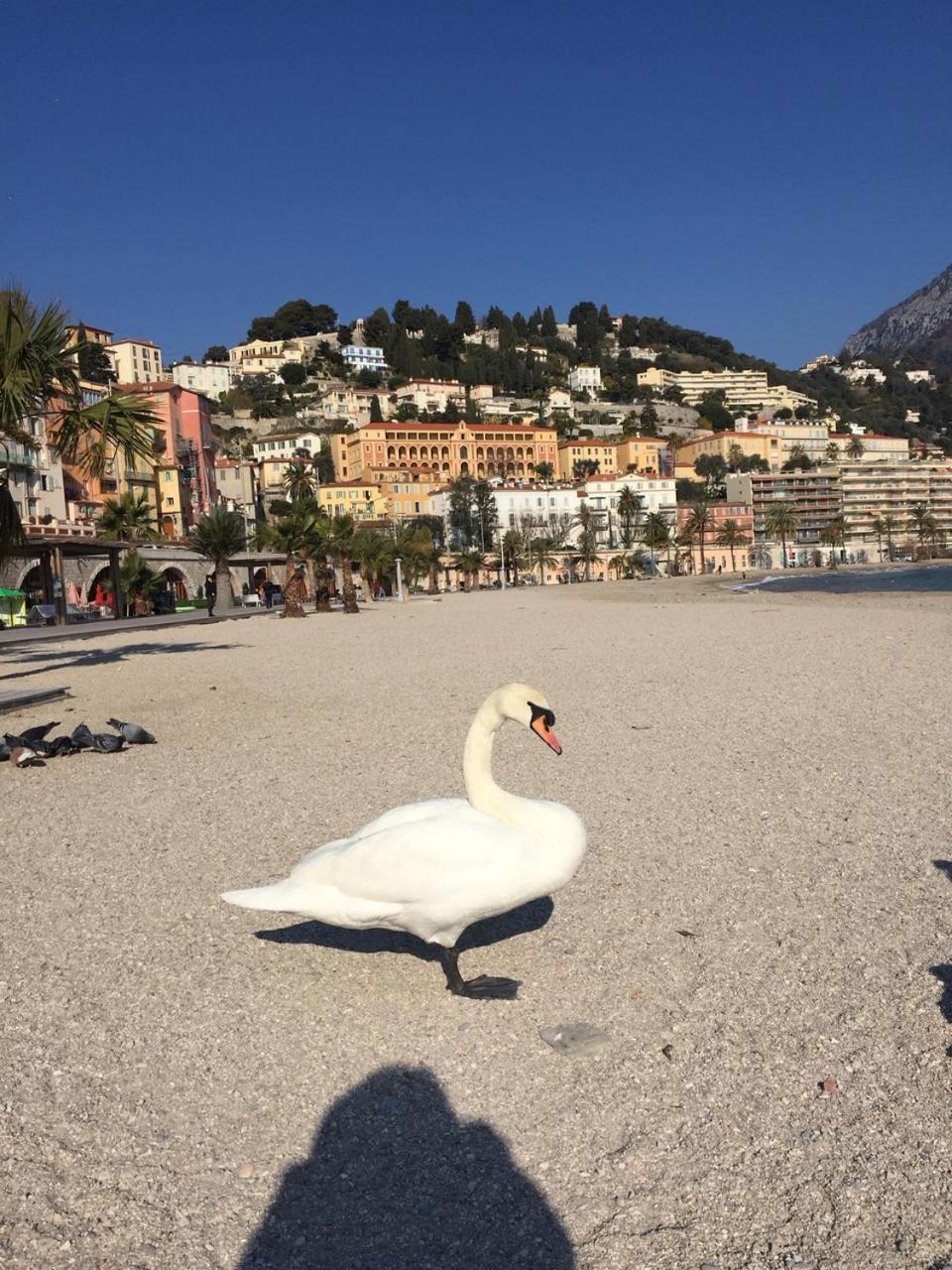 Appartement Central Des Terres Chaudes Proche Bord De Mer Menton Dış mekan fotoğraf